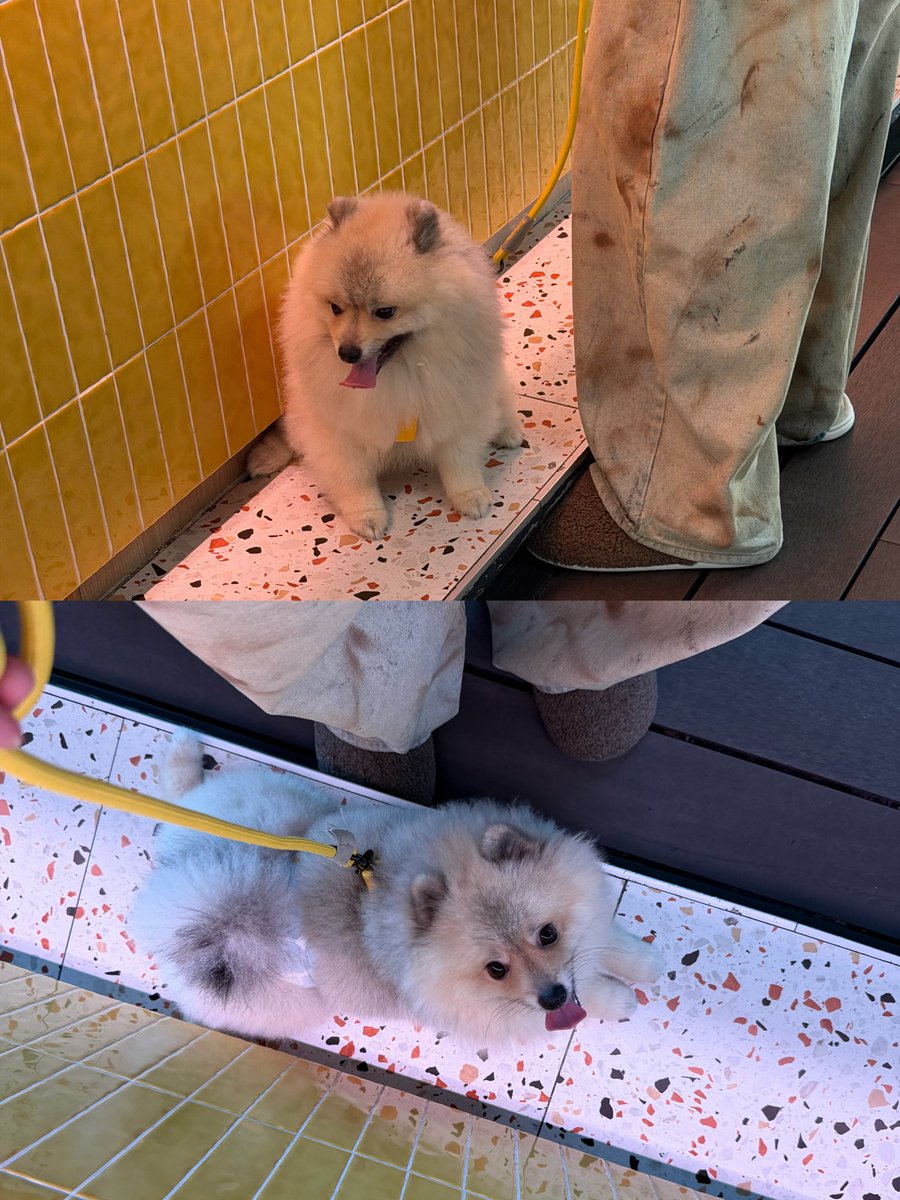 malisorn00's tweet photo. 🐽☺️🤏🏻 sunny just a little boy 😍 #babysunny https://t.co/PoweHDBBHE