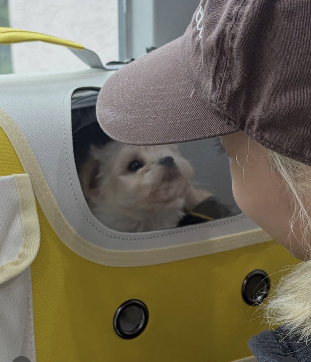 mjwnt19's tweet photo. Winter And Pponyo are so adorable together 🥰

#WeLoveYouWinter
#ProtectPponyo
#WinterAndPponyo https://t.co/F9iYOgwrjY