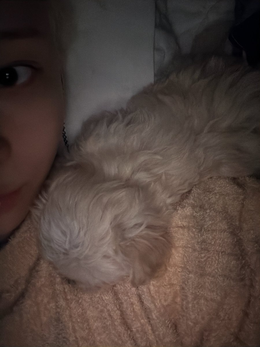 mjwnt19's tweet photo. Winter And Pponyo are so adorable together 🥰

#WeLoveYouWinter
#ProtectPponyo
#WinterAndPponyo https://t.co/F9iYOgwrjY
