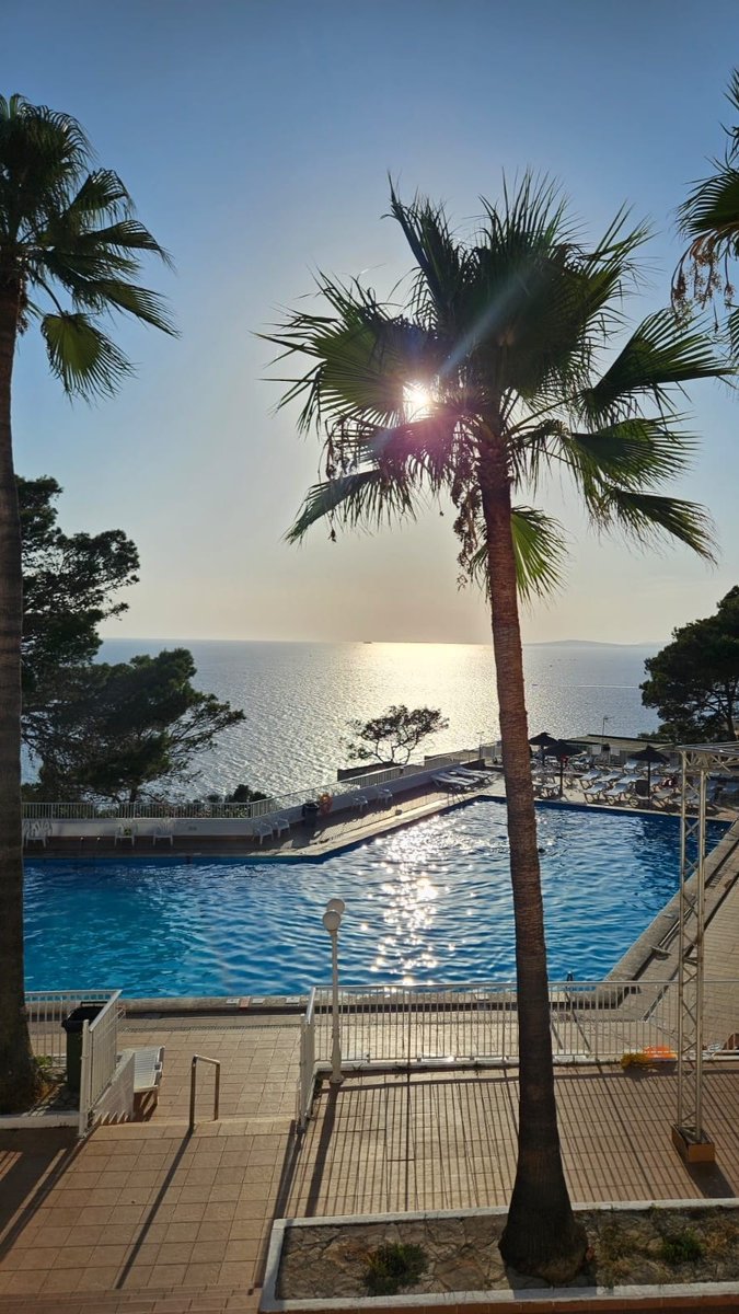 DomangeElis's tweet photo. 🌊🌞🏝️🍹⛱️🌴🍹🍉🌴🍨🥥🌴

ᨒ ོ ☼ https://t.co/1bufvVvDVd