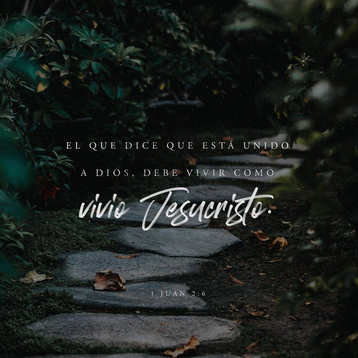 ElShaddai_Net's tweet photo. https://t.co/Ie8RwS6WXL