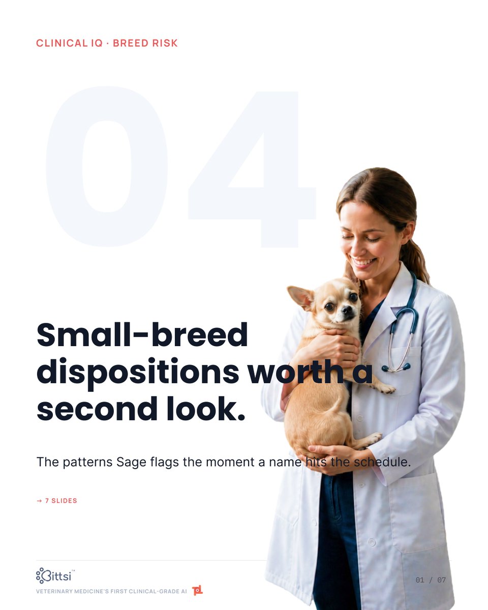 BittsiApp's tweet photo. The name on the schedule is already a risk profile — if you know what to look for. 🧵👇

Four small-breed dispositions worth a second look before the exam even starts. Sage flags the breed-specific pattern the moment a name hits the schedule — so the right question gets asked in the room, not after. (Illustrative & DVM-reviewed.)