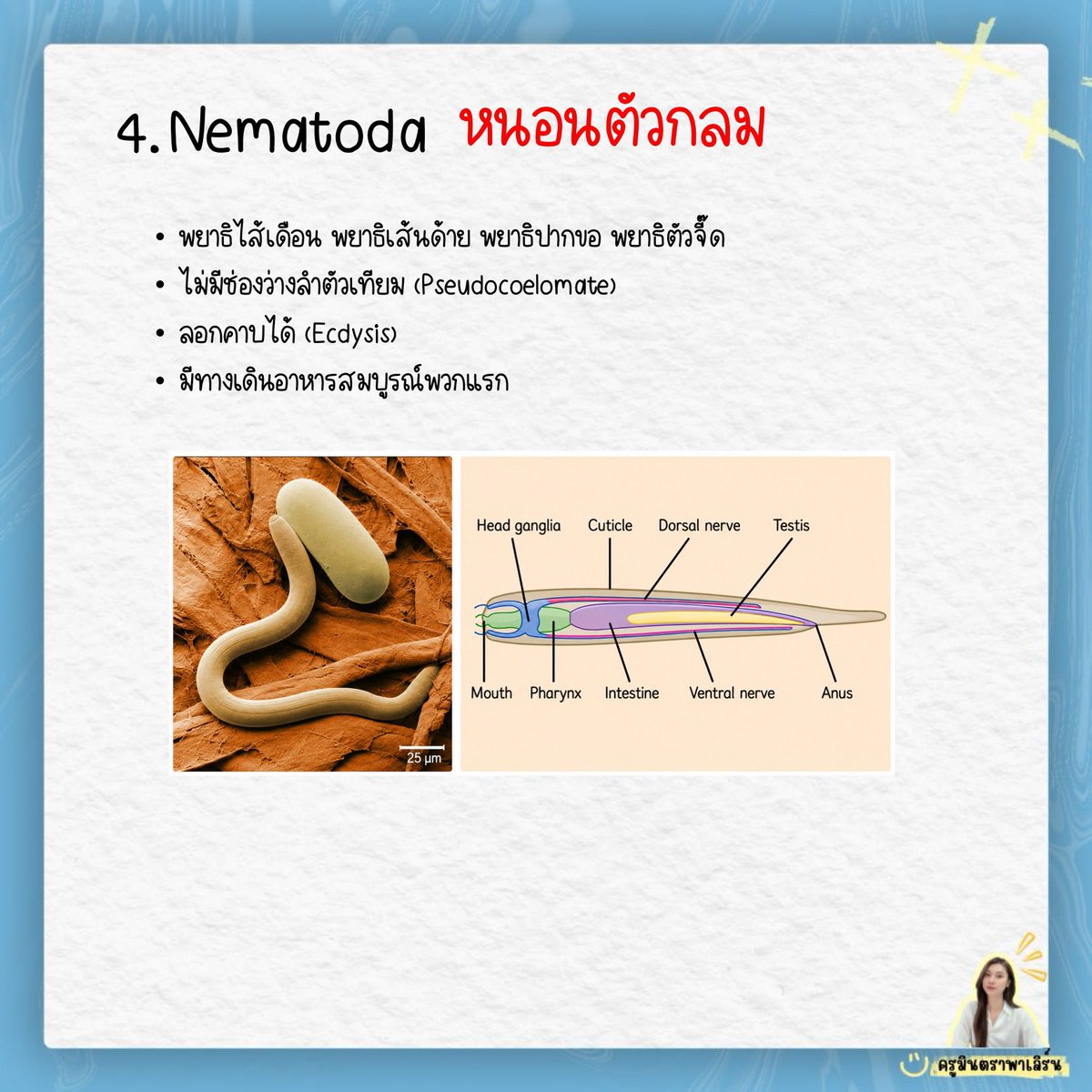 mintakotmit's tweet photo. https://t.co/k65PF0NW6p