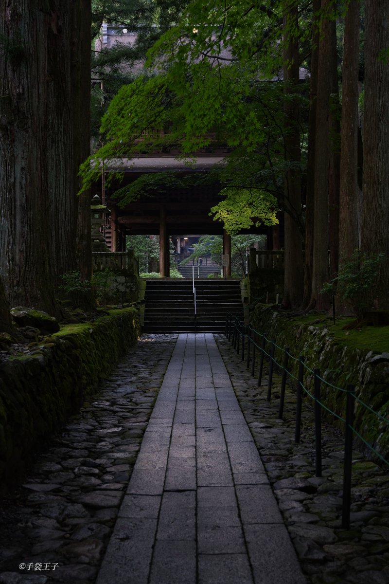 m_shimod's tweet photo. 墓参りに長野に行った際に撮った一枚。夕暮れ時の駒ヶ根の光前寺さんの参道にて。光の具合がとても良い。暗部の表現もさすがです。SONY α7CII × SIGMA 28-70mm F2.8 DG DN | C #sony #a7cii #sigma #ファインダー越しの私の世界 #お写んぽ #長野県 #駒ヶ根 #光前寺 https://t.co/awFQ2kHDli