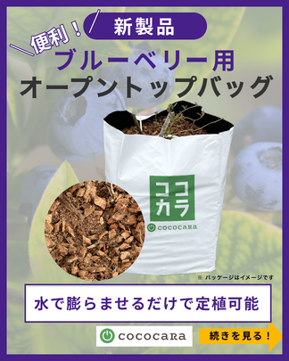 cococaRa2016's tweet photo. 【新製品】
「ブルーベリー用オープントップバッグ」
を発売いたしました！

水で膨らませるだけで定植可能
作業効率UP&amp;品質向上が目指せる製品です😊

#ブルーベリー #ブルーベリー農家 #ココピート #ココチップ
https://t.co/w5WOGHxomv https://t.co/p6f24cS0Oy