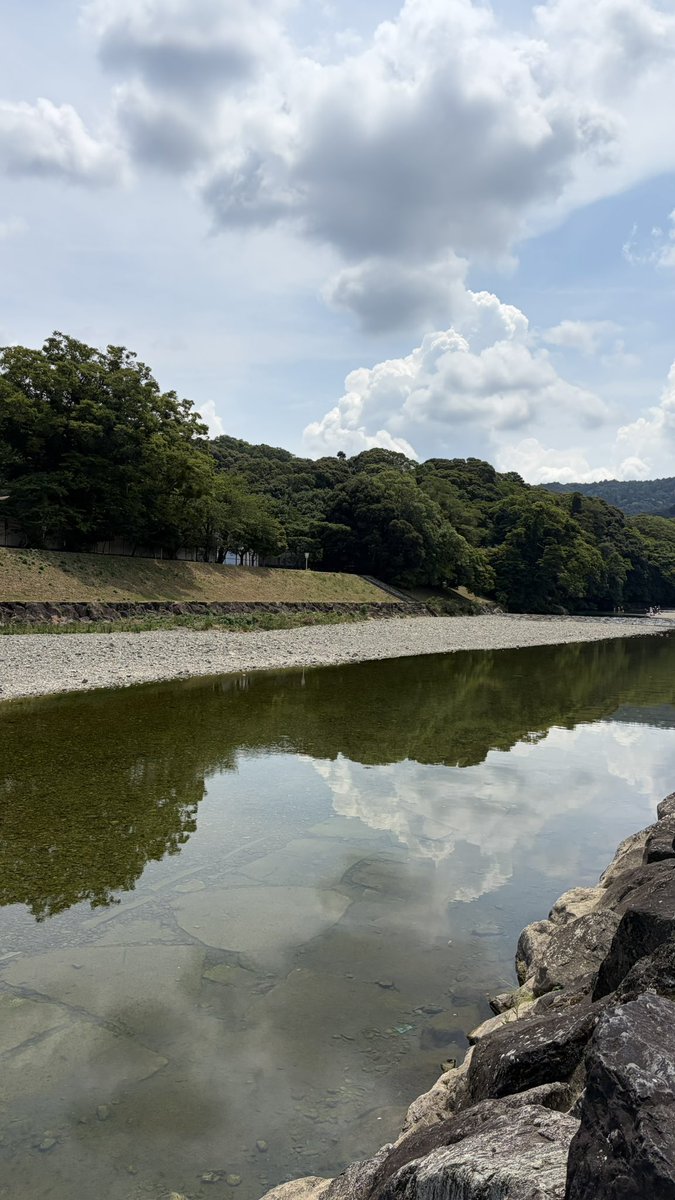 oru_san's tweet photo. 自然界隈🏞️ https://t.co/ARRWQXho9y