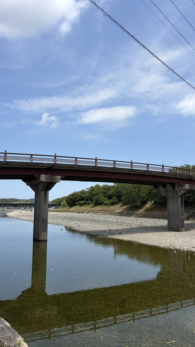 oru_san's tweet photo. 自然界隈🏞️ https://t.co/ARRWQXho9y