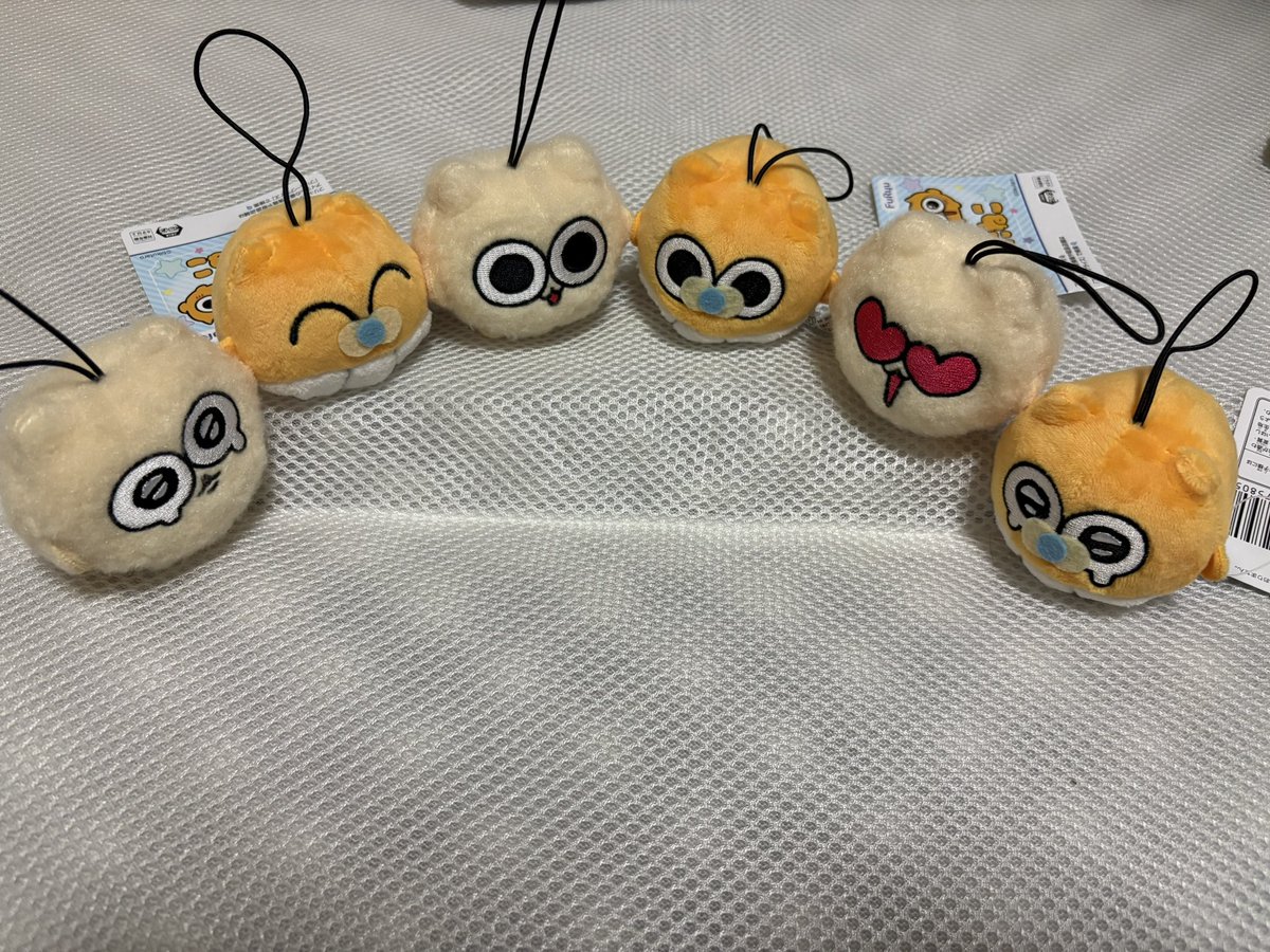 UNTLOVE_2525's tweet photo. ベビとカビさん救出しちゃ！！ https://t.co/W1uBSaL5FA