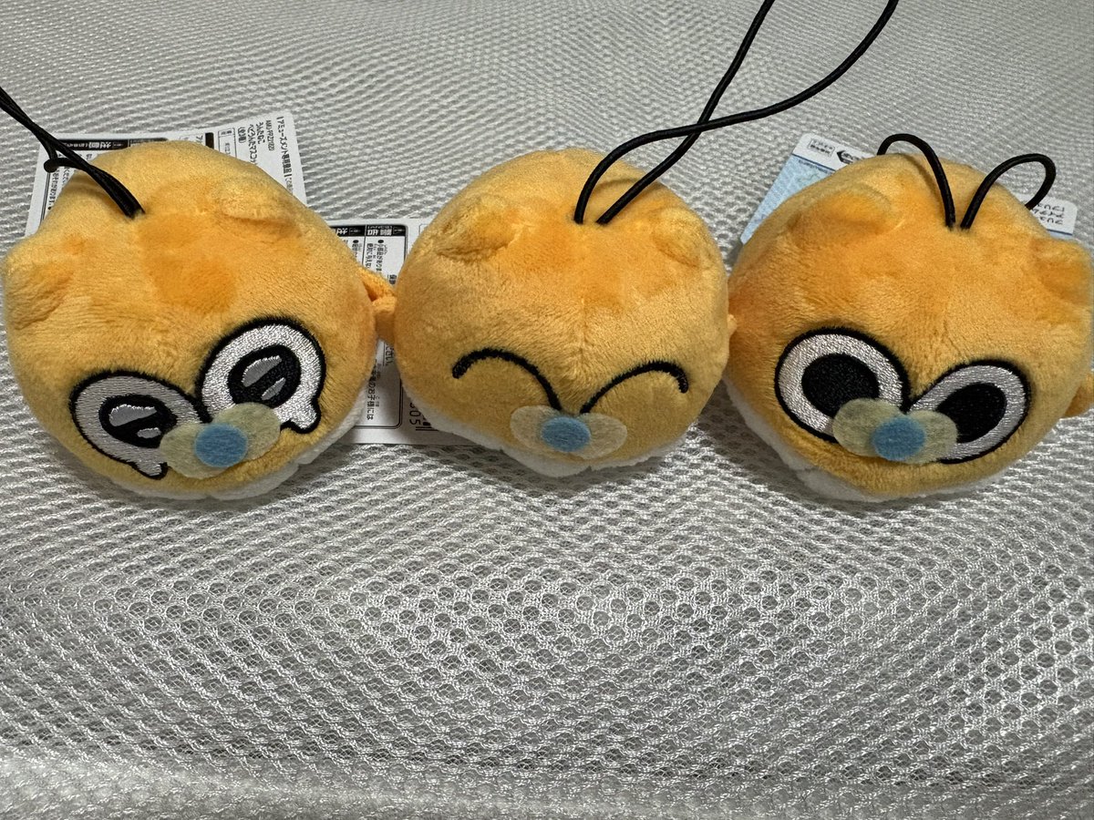 UNTLOVE_2525's tweet photo. ベビとカビさん救出しちゃ！！ https://t.co/W1uBSaL5FA