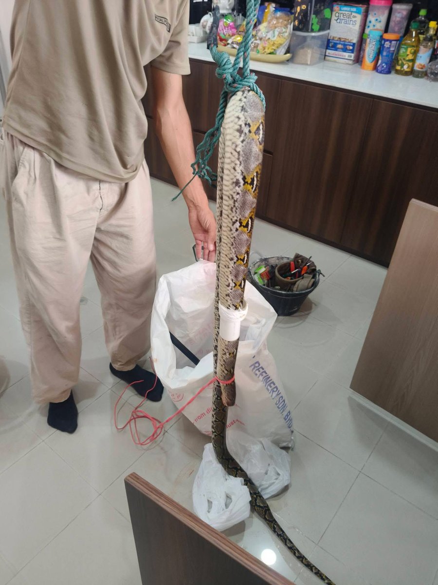 meinmokhtar's tweet photo. TW

Repair paip sumbat gone wrong https://t.co/yhaj7AGyc1