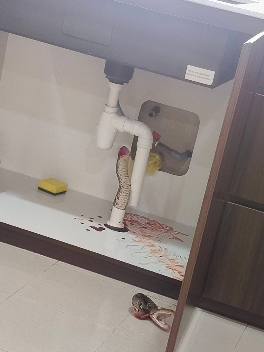 meinmokhtar's tweet photo. TW

Repair paip sumbat gone wrong https://t.co/yhaj7AGyc1