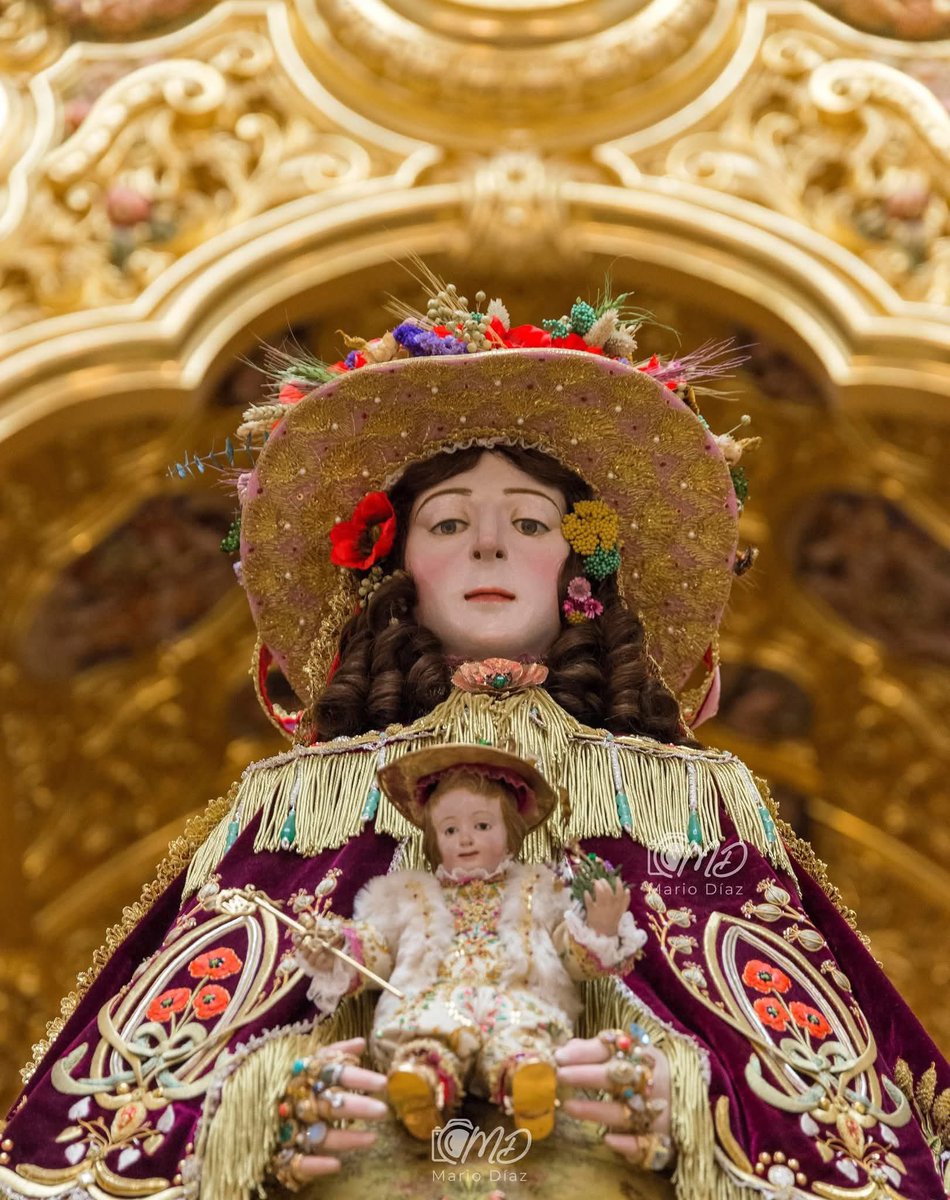 mabernalsanchez's tweet photo. Quedan 6 días para la Venida de la Santísima virgen del Rocío a su pueblo de Almonte https://t.co/25YrTnkQO4