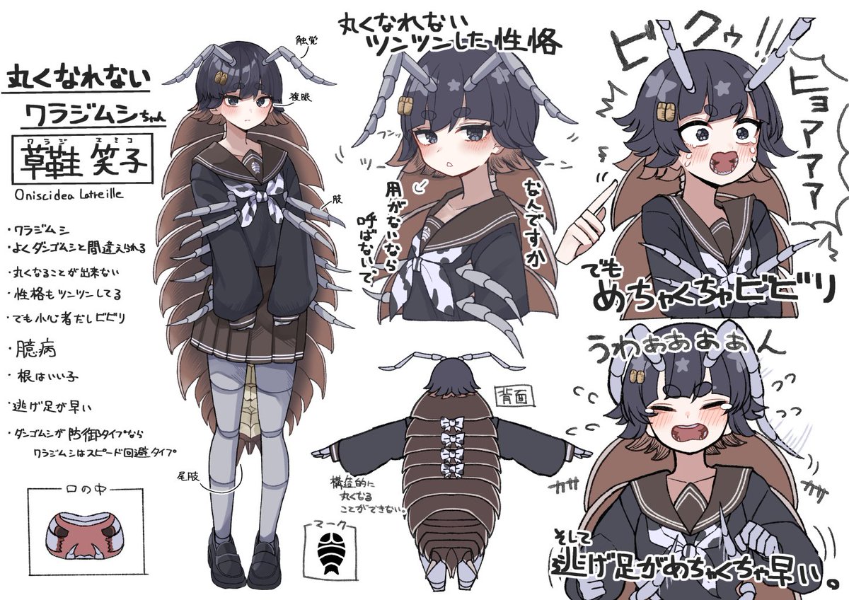 plan039's tweet photo. 新しい子たち！
オオスズメバチちゃん
ワラジムシちゃん
オオゲジちゃん https://t.co/LMACVLqOY1