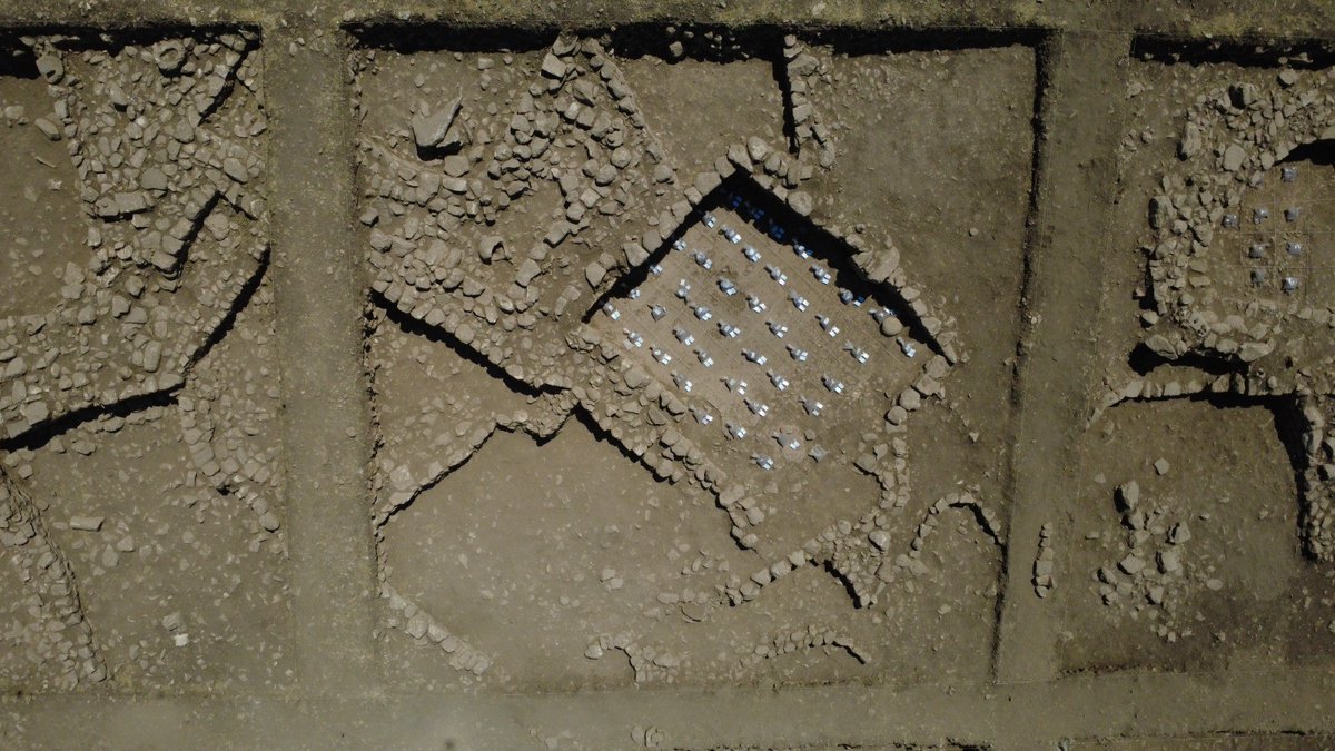 arkeolojihaber's tweet photo. 📍 Şanlıurfa’daki UNESCO Dünya Mirası Göbeklitepe’de bu sezon açılan yeni kazı alanında, yerleşimin ikinci evresine tarihlenen dörtgen planlı yapılar gün yüzüne çıkarıldı.

Yaklaşık 1.500 metrekarelik alanda yürütülen çalışmalarda yapıların yüzeyin hemen altında bulunması, plan ve yerleşim düzenine ilişkin ilk verilere kısa sürede ulaşılmasını sağladı. Bazı yapıların taban seviyelerine de ulaşıldı. Taş Tepeler Projesi Koordinatörü Prof. Dr. Necmi Karul, yapılardaki dikilitaş geleneğinin daha zayıf olduğunu ve iç düzenlemelerin konut kullanımına işaret ettiğini belirterek, “İlk izlenimimiz bunların konut olarak kullanıldığı yönünde” dedi. Toprak örnekleri üzerinde yapılacak analizlerin, yapıların işlevine ilişkin daha kesin bilgiler sunması bekleniyor. Bulgular, Göbeklitepe’nin yalnızca kamusal ve ritüel yapılardan oluşan bir merkez değil, aynı zamanda insanların yaşadığı bir yerleşim olduğunu gösteren verilere yenilerini ekliyor. Kaynak: AA (13.08.2026)