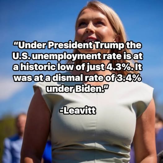 littleimpressio's tweet photo. @ScottJenningsKY @karolineleavitt Yeah absolutely brilliant... https://t.co/xR2jt2ZHni