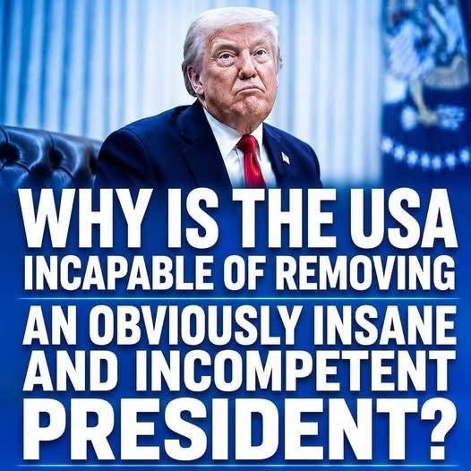 Cook16228Cookie's tweet photo. It’s time to vote  every  corrupt Republican out now!!! https://t.co/c2BVjOv6ho