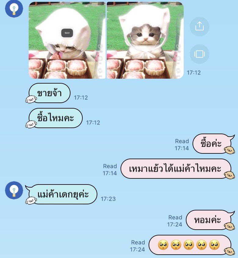 ayo_gmnfth's tweet photo. นี่คือฉันและภรรยาของฉัน https://t.co/u4x6GMqZfJ