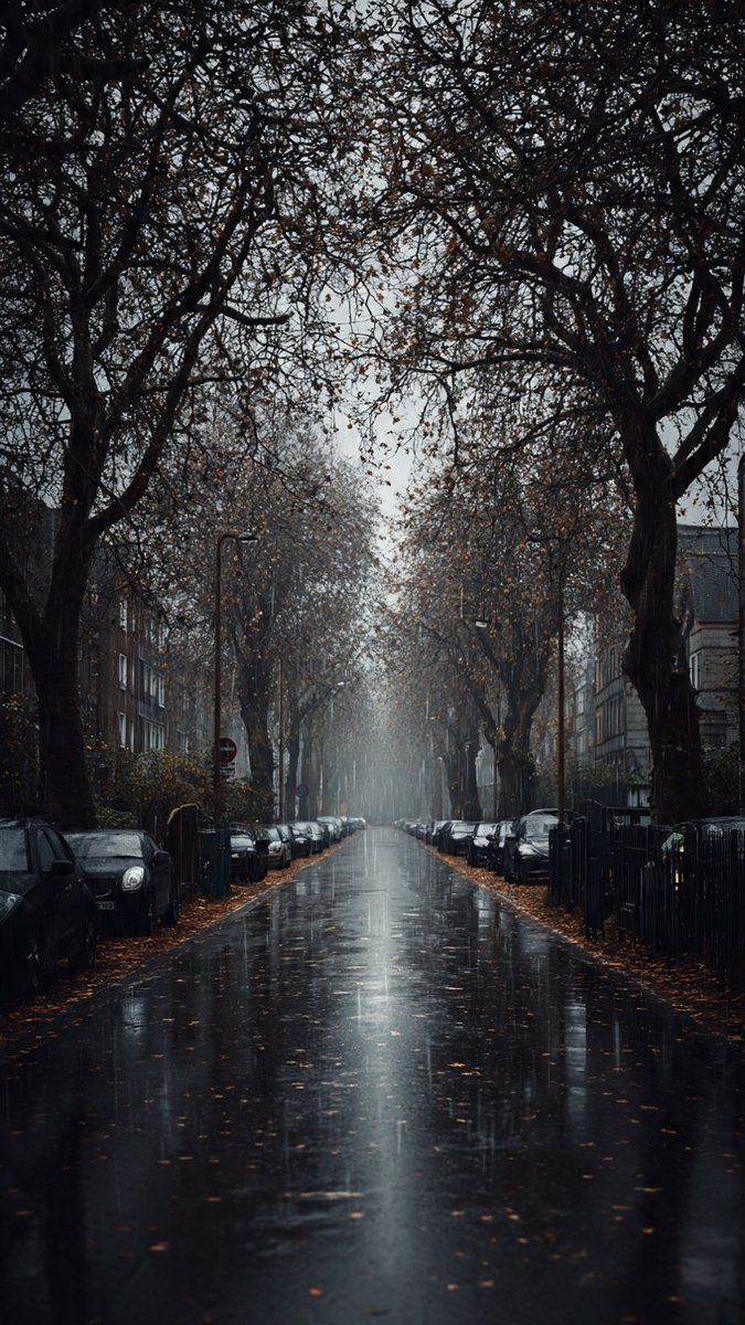 spooky_nature's tweet photo. if you ever feel sad, just wait for it to rain https://t.co/6WcoPhrtL1
