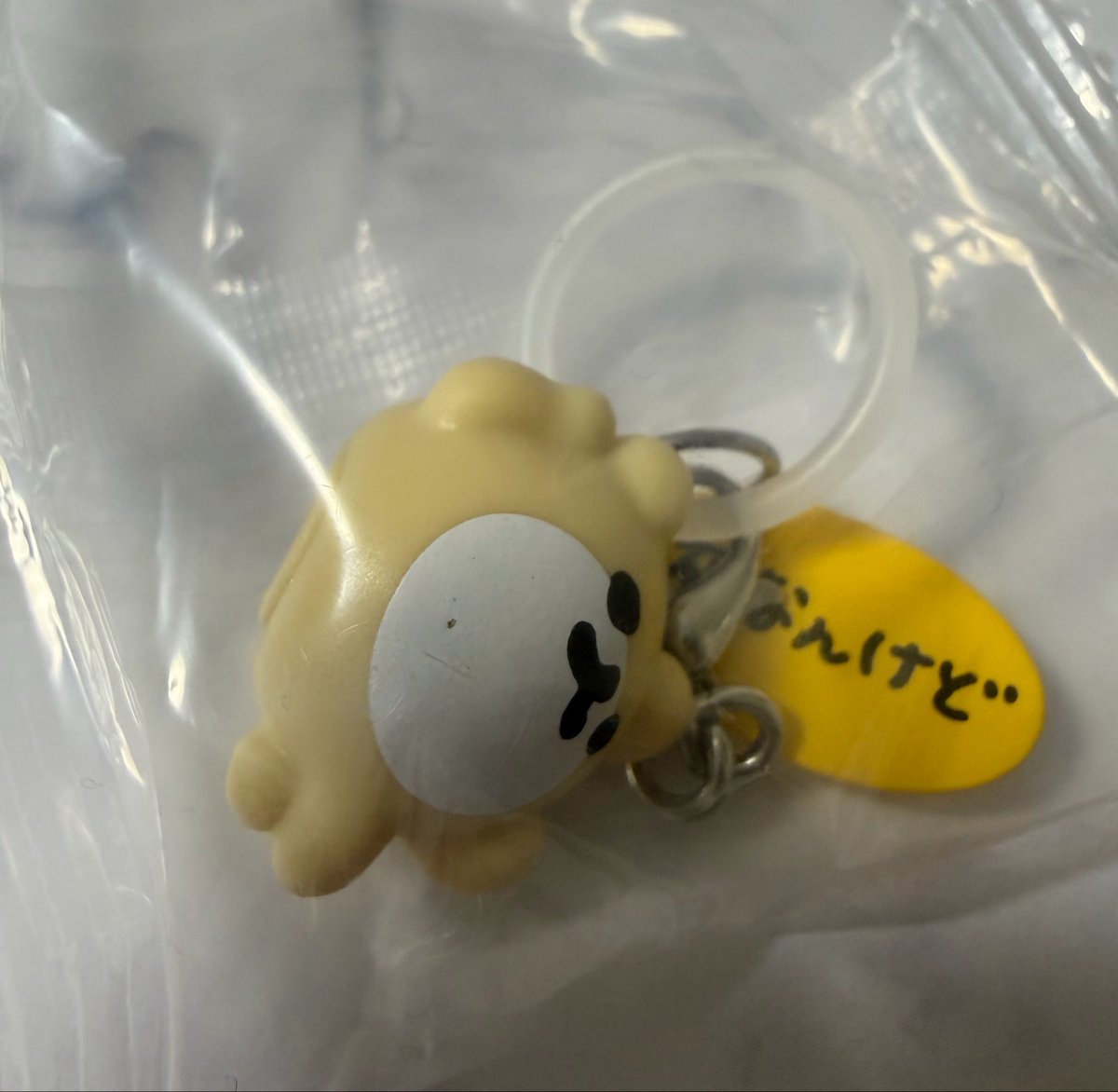 tt_byby's tweet photo. @male_torihiki 確認していただきたい部分がありまして、写真を撮る際に気づいたのですが、お腹の部分に黒い小さな点があり、気になるようでしたらお断りしていただいても大丈夫です…！ https://t.co/xUveOl1o0V