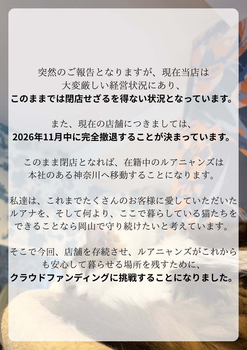 catcafeluana's tweet photo. 画像の順番を間違えておりました。。
正しくはこちらの順番です🙇‍♀️ https://t.co/ufGDDE2074