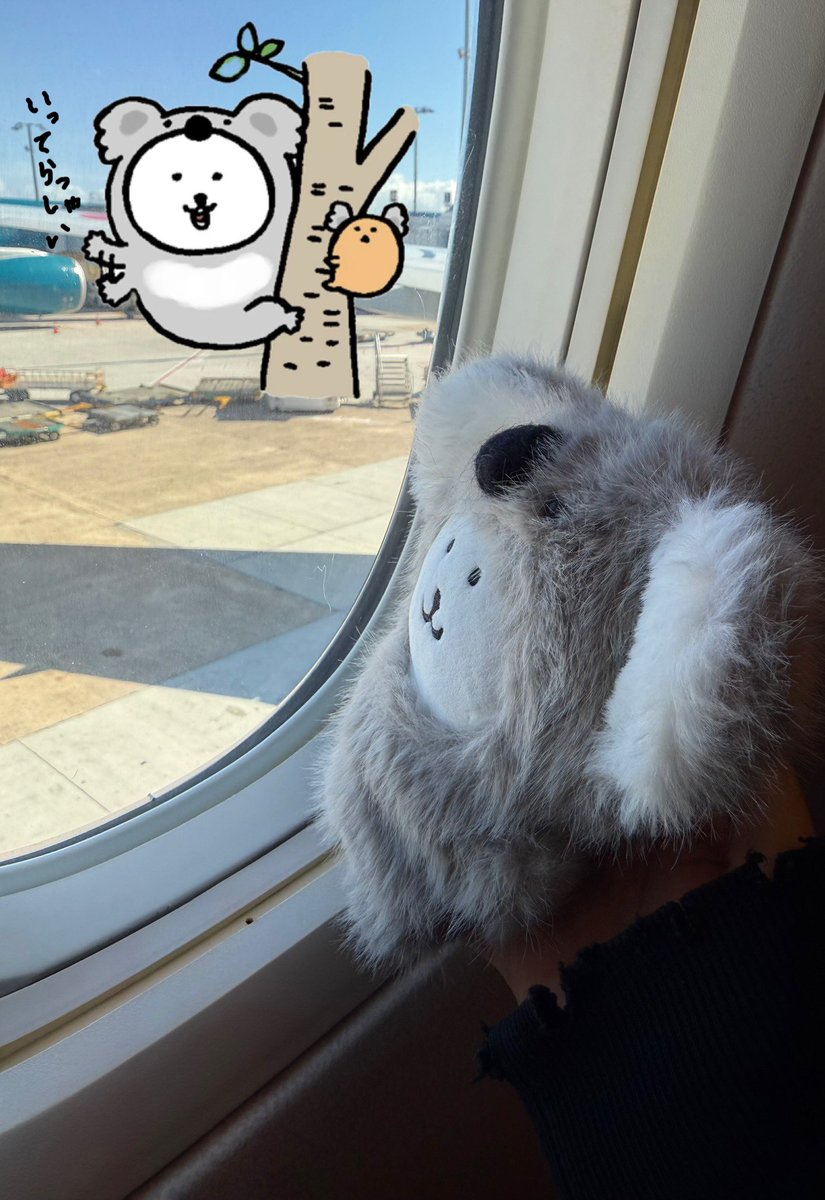 🐨👋🐻‍❄️