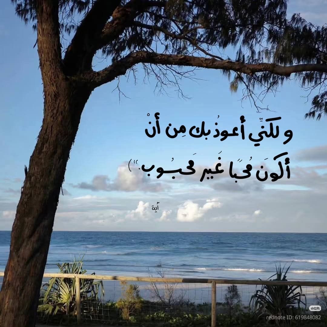 haytheemhassan's tweet photo. https://t.co/s6PcPgdAik