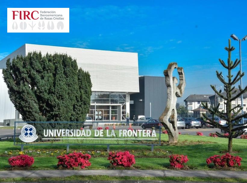 CongresoFIRC's tweet photo. 🐄 Ya están definidos el Comité Organizador y el Comité Científico del XIII Congreso de la FIRC.

📍 Temuco, Chile | 📅 3-5 diciembre 2026
Un paso más hacia la conservación de las razas criollas iberoamericanas 👇

https://t.co/mybCX0BRsC

#FIRC2026 #RazasCriollas https://t.co/YUlWfUSIyS