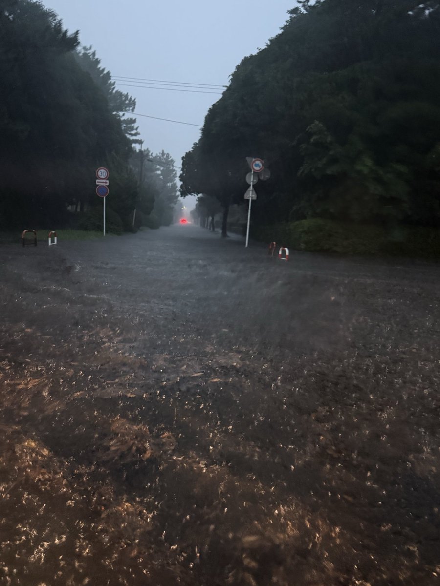 shu135426's tweet photo. 千葉市幕張付近で道路が冠水し車が動けなくなりました。
海浜大通りなども車が通れる状況ではありません。
周辺では20台以上が立ち往生しているようです。雨は夜中まで続く予報です。近くの方は無理に移動せず、安全な場所で待機してください。

#千葉市 #大雨 #冠水 #線状降水帯 #レベル5  #避難指示 https://t.co/pM0cPJnrkI