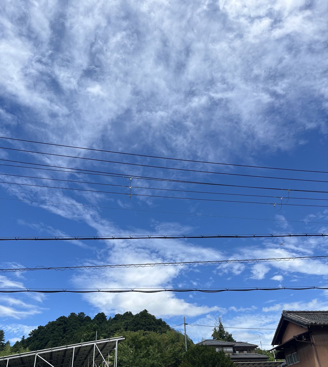lovenon29's tweet photo. 朝から奈良にお墓参りして
お家の雑草取って
帰ってきてお迎えした https://t.co/P192JLRsYB