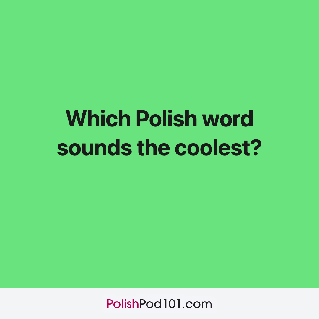 PolishPod1O1's tweet photo. Can you answer this question? 😎 

P.S. Get our Free Polish Practice Worksheets here: https://t.co/zvTvnW8Mmn https://t.co/QYNv8lHdWz