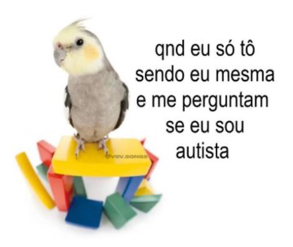 samira_allves's tweet photo. chega dessa semana https://t.co/Ks46fzQ6XO