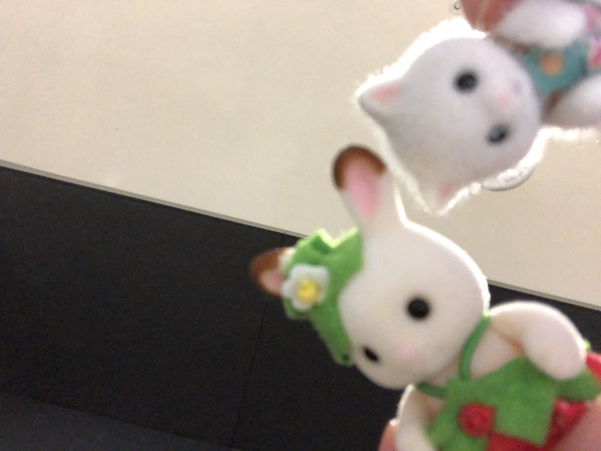 madisspace's tweet photo. 다이어리 쓰는 나를 바라보는 실바니안들(ˊo̴̶̷̤  ̫ o̴̶̷̤ˋ) https://t.co/fGJk3aJmle