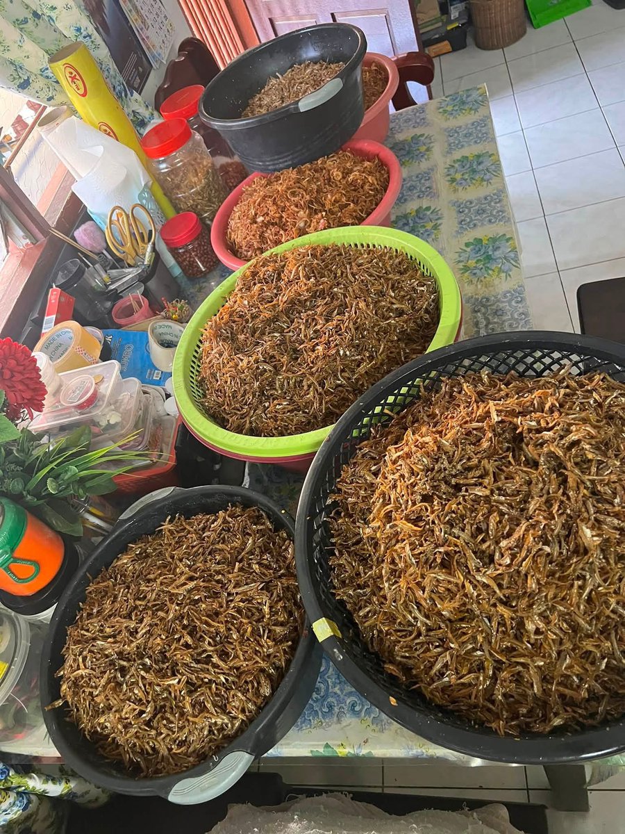 encikteruna87's tweet photo. Alhamdulillah siap tempahan 23kg Sambal Goreng Bilis
#daridapurbujang #cookwithpassion #pulaupangkor #perak https://t.co/q7tDniD2Ce