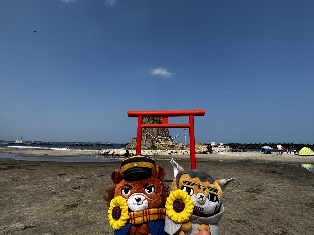 cafe_cs's tweet photo. 今年はおめかししたフォゼちゃん達とたくさん夏を満喫できたんだぁ https://t.co/oA4RNUrM75