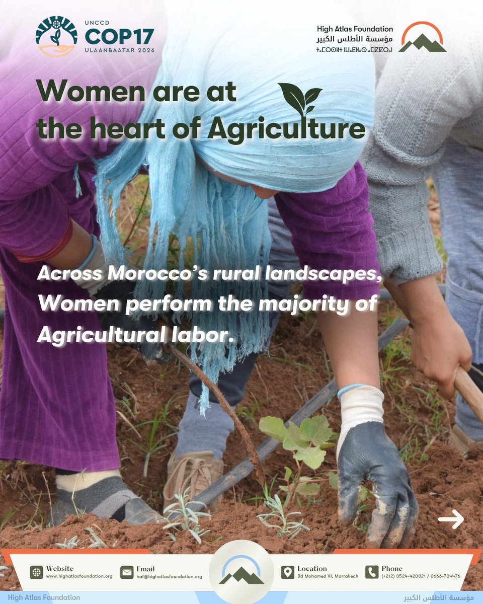 AtlasHigh's tweet photo. Women’s leadership is not only a question of equity. It is also an opportunity for climate action. 🌱

#HAF #UNCCDCOP17 #COP17 #WomensLeadership #WomenInAgriculture #ClimateAction #LandRestoration #SustainableAgriculture #Morocco #CommunityLedDevelopment https://t.co/WZtXoZnX99