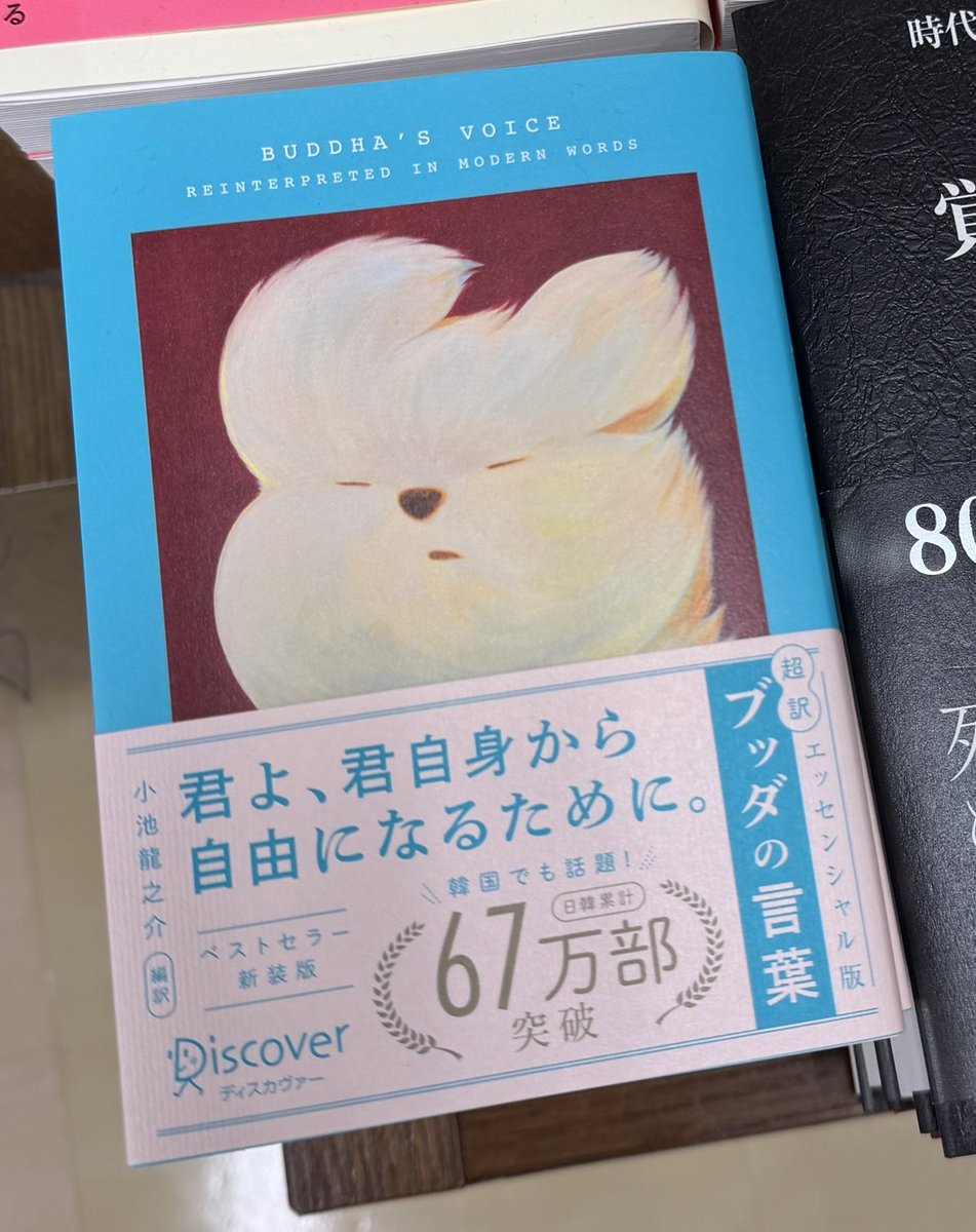 ジュンク堂書店藤沢店 on X: 