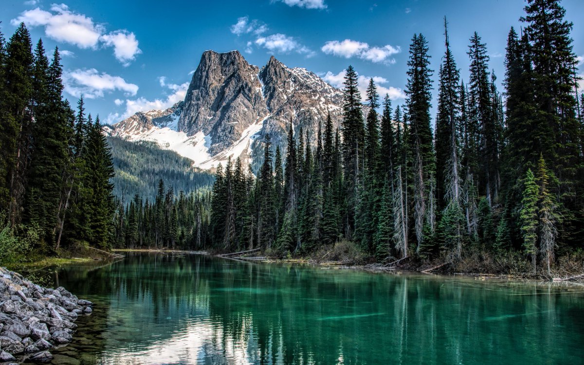 rektbyalizard's tweet photo. Emerald Alpine Lake https://t.co/DoO5WchUAh