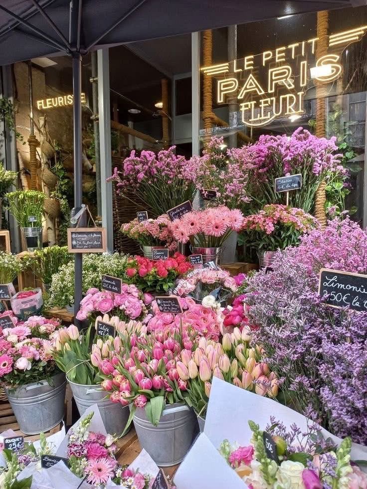 dreamyflowerrs's tweet photo. flower shop https://t.co/JWrGPG7gHj