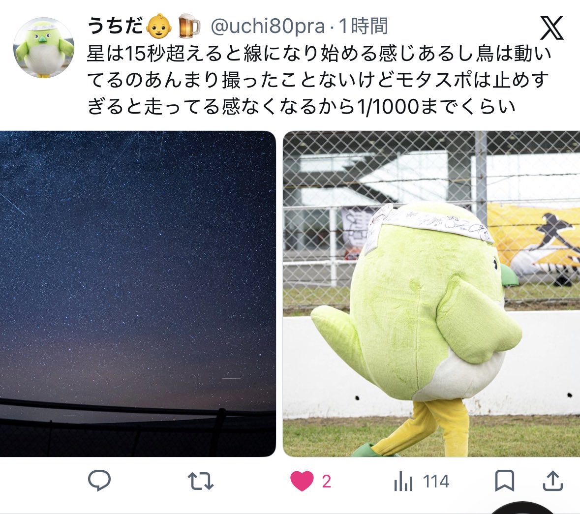 2枚目までしか表示されてなかったから「この鳥そんなにSS速くなくても