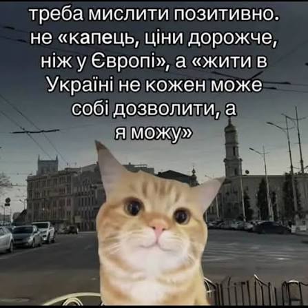 ThistleTea_'s tweet photo. @sashakhrlmv https://t.co/uwEsxIUTJc