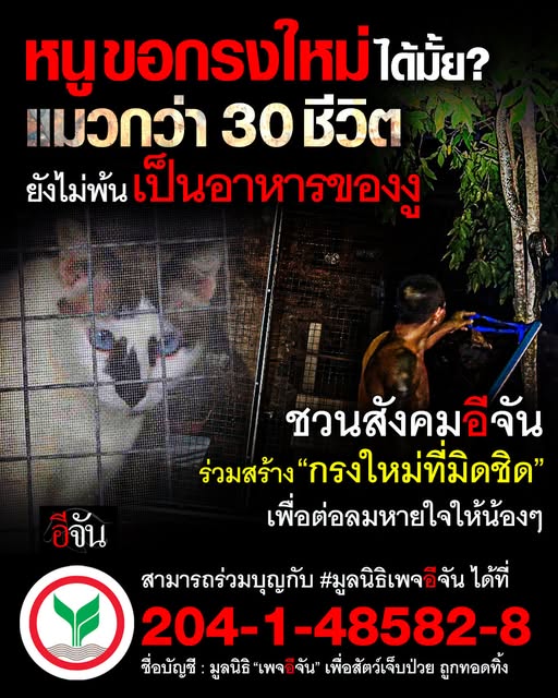 EJanNews's tweet photo. ช่วยหนูด้วยนะ…
แมวกว่า 30 ชีวิต #วันเขาช่องประดู่
ที่เคยสดใสกลับต้องมาเป็นเหยื่อของงู
เเล้วทำไมน้อ...พื้นที่ปลอดภัย
กลายเป็นชีวิตที่ต้องถูกพราก
วันนี้อยากชวน #สังคมอีจัน ร่วมทำบุญ
ต่อลมหายใจให้แมว  ด้วยการระดมทุนสร้าง
#กรงใหม่ที่ปิดมิดชิด
ลูกเพจสามารถร่วมบุญกับ #มูลนิธิเพจอีจัน ได้ที่
ธนาคารกสิกรไทย: 204-1-48582-8
ชื่อบัญชี: มูลนิธิ "เพจอีจัน"
เงินทุกบาทเราจะทำให้น้อง
หลุดพ้นจากความตายค่ะ
