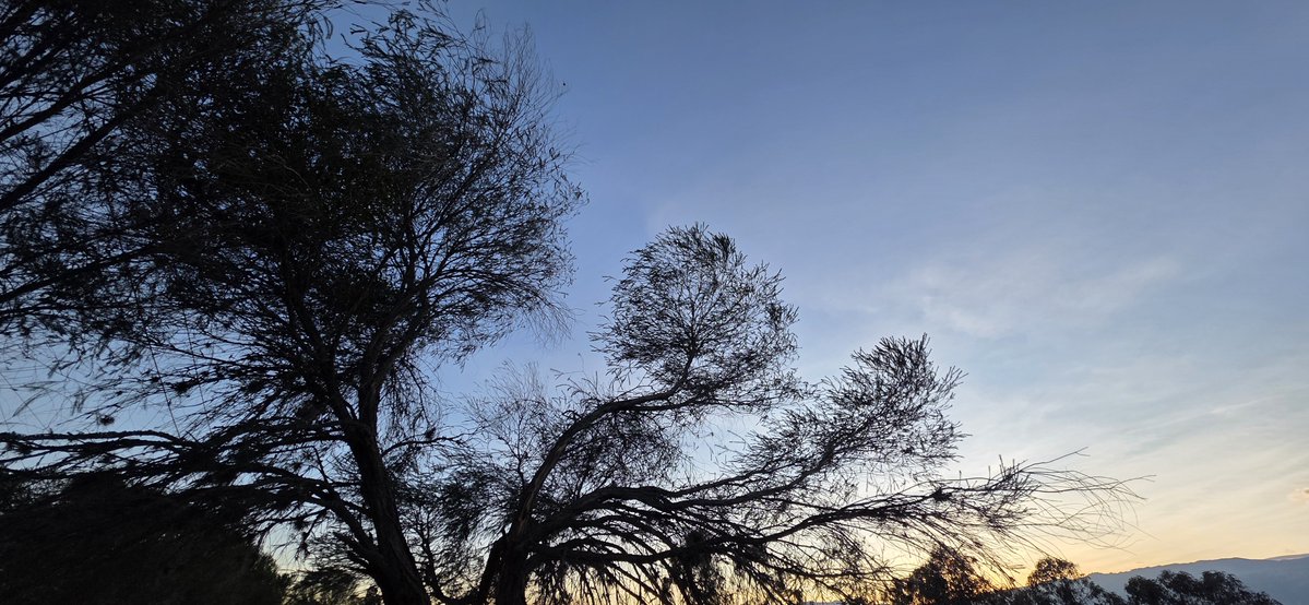 Havenlust's tweet photo. A or B? https://t.co/E6FoKmSMcR