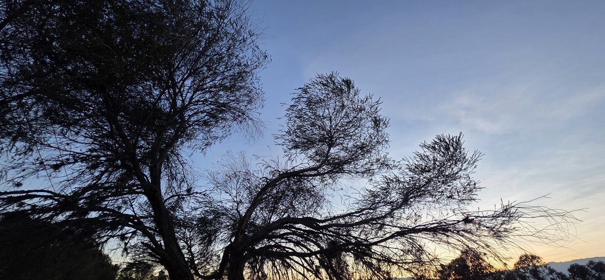 Havenlust's tweet photo. A or B? https://t.co/E6FoKmSMcR