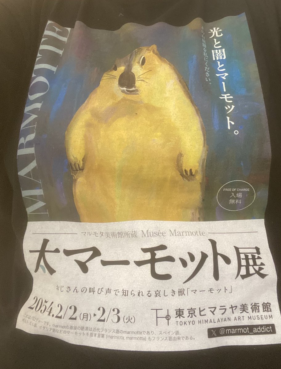 AchanShim's tweet photo. #マーモット中毒 さんのTシャツを購入しました。めちゃくちゃかわいいし、着心地がいいです。ヘビロテします。仕事にも着ていきたい！ @marmot_addict https://t.co/sdXBKUmd29