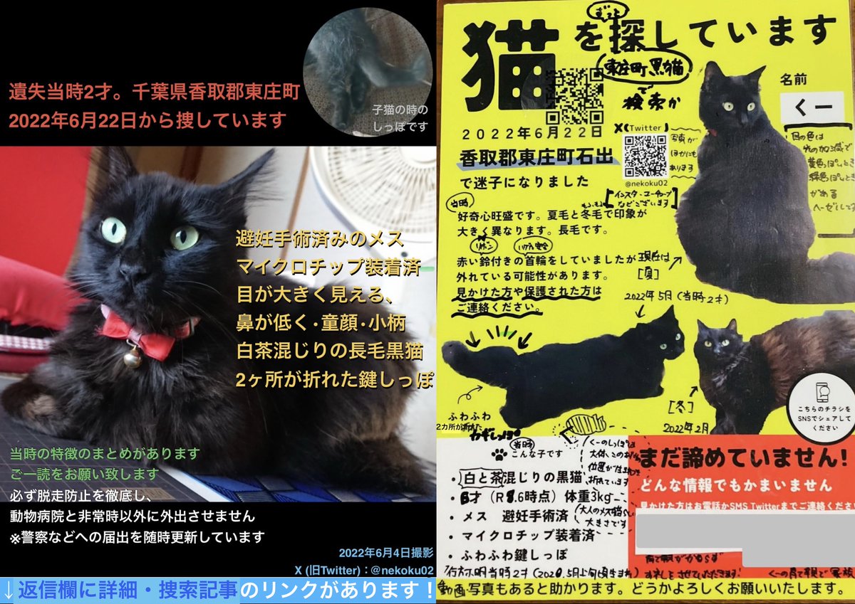 nekoku02's tweet photo. 【千葉県香取郡東庄町 長毛黒猫くー♀を探してます】
返信欄に詳細：新盆参りに来てくださった方にくーの事を訊かれました。覚えて頂けて有り難いです

⭕️2ヶ所が折れた鍵しっぽ
⭕️光の加減で黄↔︎緑に見える目
⭕️成猫のメスらしい大きさ

#東庄町 石出 '22年6/22 迷子 下総橘駅 香取市 旭 銚子 神栖 https://t.co/Dev53cnek6