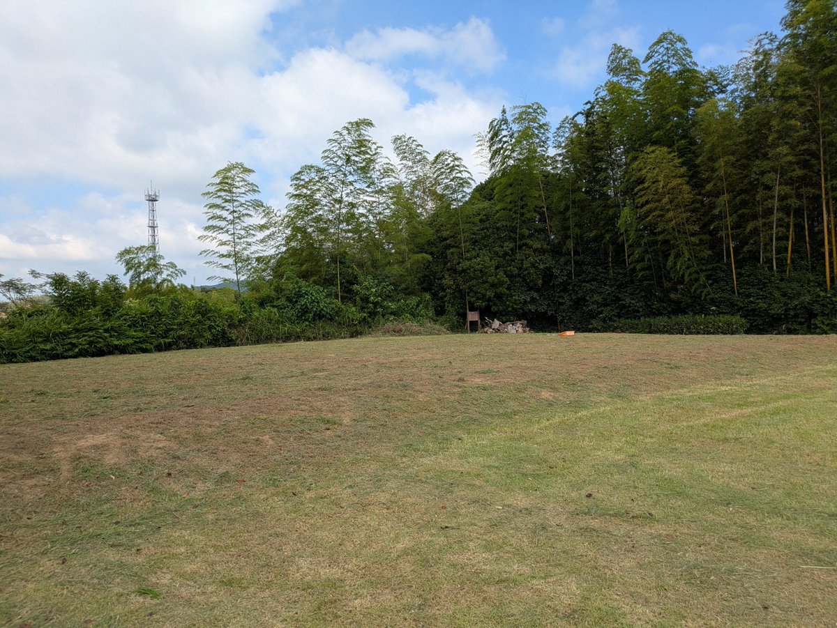 nekokoba421's tweet photo. 東条城　　訪問日2026/8/4

　東条吉良氏の城。徳川家康の攻撃により落城すると松井忠次が城主となった
　前まで完売だった御城印再販してたので入手。この日は草刈りをしていて歩きやすかった✨️でも、木の柵も無くなってしまった…
#東条城　#御城印　#松井忠次 https://t.co/raszxXhZcj
