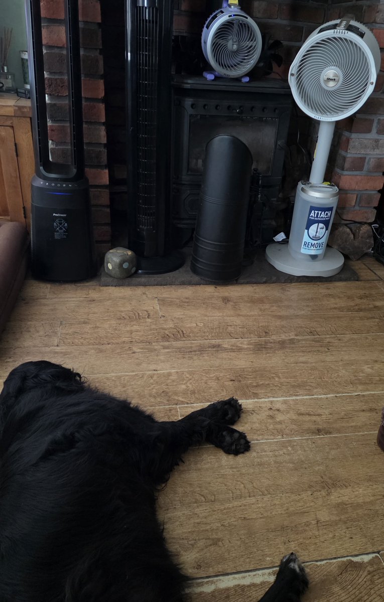 SpringerSaint's tweet photo. With age comes wisdom ......
#KeepingCool https://t.co/2JOt2M4Hbz