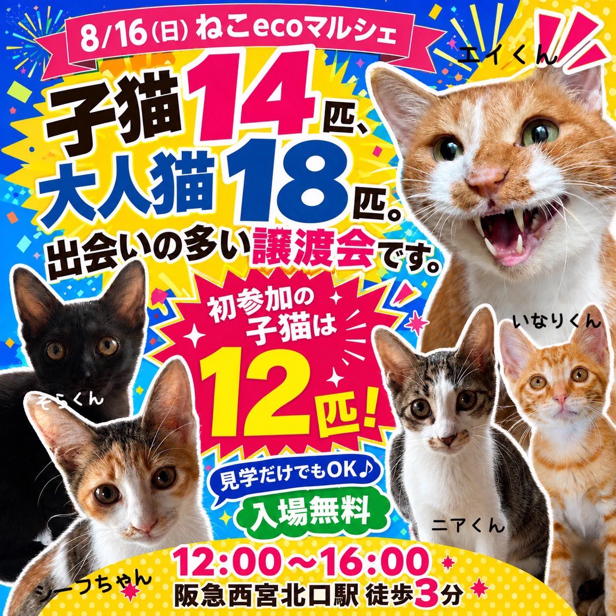 NPO法人 動物愛護・福祉協会60家(ロワや) on X: 