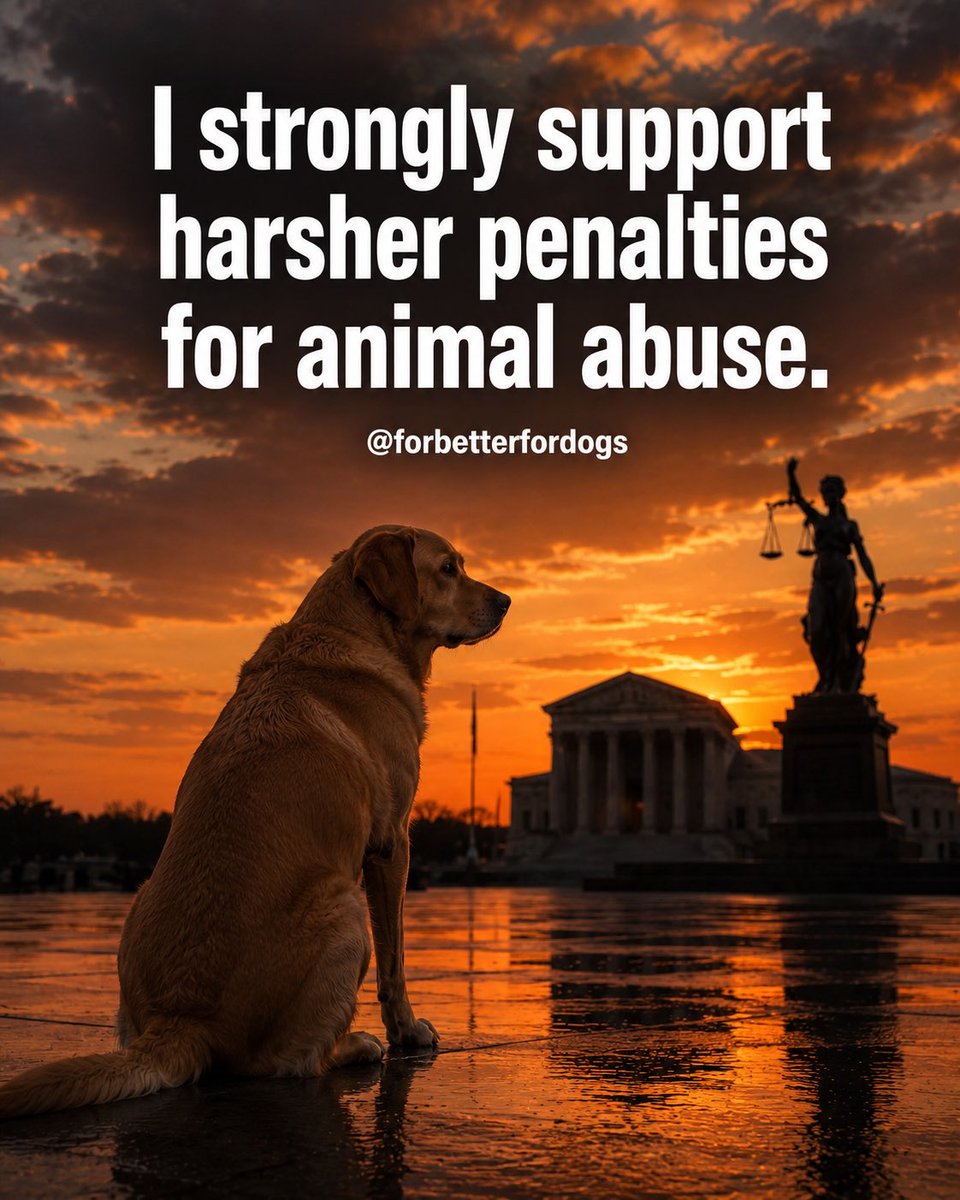 forbetterfordog's tweet photo. https://t.co/qdUeU4fJjf