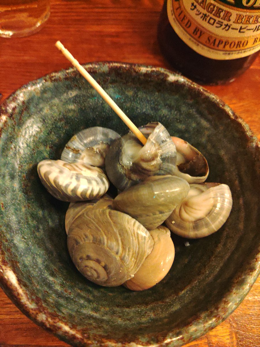 june8673's tweet photo. 歩の肴です‼️😋🐟️沖縄の、ぐるくんの、お刺身😋＆ながらみの塩茹でです‼️😋🐚そして赤星先輩二人目です‼️😋🍺🍺 https://t.co/IblV3gM02Z